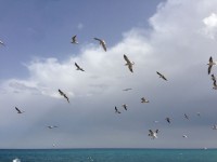 /album/galleria-foto/img-20130224-wa0004-jpg1/