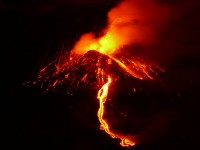 /album/galleria-foto/a1525416-10151717785200834-1205665288-n-jpg/