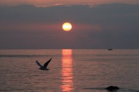 /album/galleria-foto/a1383747-10200676101977324-695956816-n-jpg/