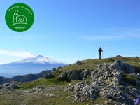 /album/galleria-foto-escursioni-con-passopasso-trekking/a10155549-1390608351217889-167023871-n-jpg/