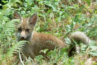 /album/galleria-foto-escursioni-con-passopasso-trekking/a10468644-1449588541986536-4233980263363622023-n-jpg/