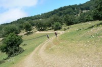 /album/galleria-foto-escursioni-con-passopasso-trekking/a10557352-1454109684867755-7377815903064425048-n-jpg/