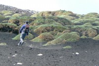 /album/galleria-foto-escursioni-con-passopasso-trekking/a10356421-1414363505509040-6335984176473007390-n-jpg/